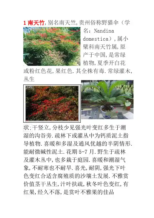 河南本地常见园林植物