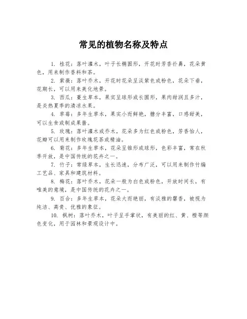 常见的植物名称及特点
