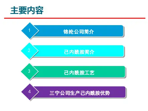 己内酰胺工艺精简ppt课件