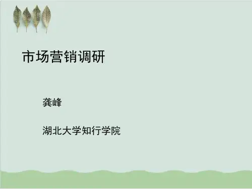 市场营销调研报告PPT课件( 33页)