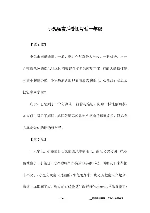 小兔运南瓜看图写话一年级