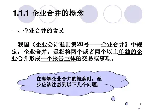 高级财务会计 第一专题 企业合并