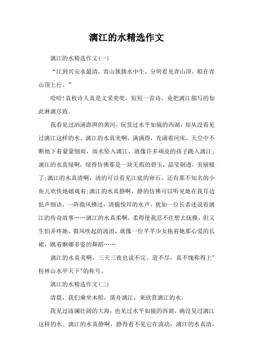 漓江的水精选作文