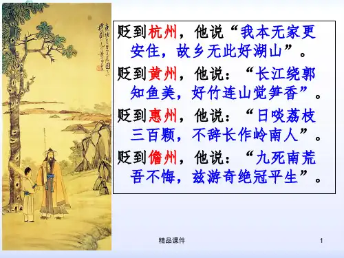 《定风波》1ppt课件