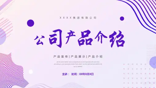 XXXX集团有限公司简介