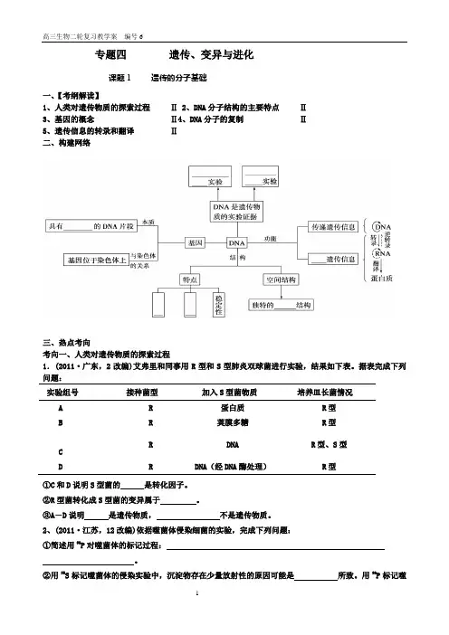 二轮复习遗传的分子基础学案