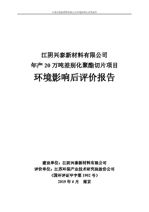 年产20万吨差别化聚酯切片项目