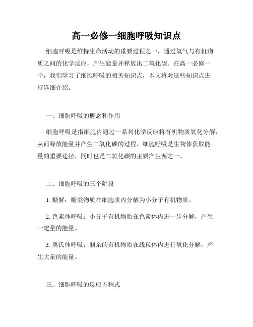 高一必修一细胞呼吸知识点