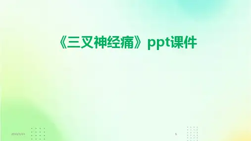 2024年度《三叉神经痛》ppt课件