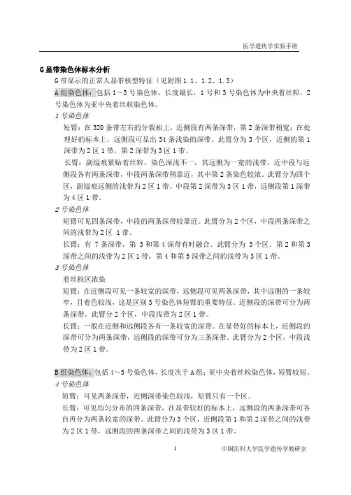 G显带染色体标本分析