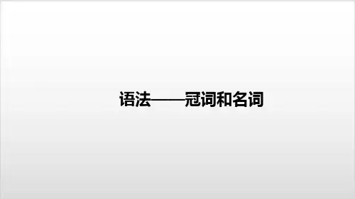 中考复习英语一轮复习基础——冠词和名词PPT优秀课件