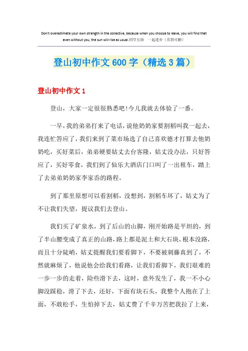 登山初中作文600字(精选3篇)