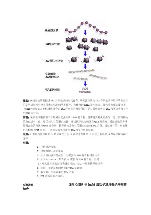 热点实验：CHIP染色质免疫共沉淀实验案例介绍