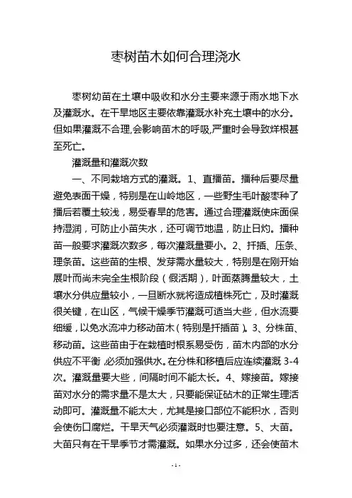 枣树苗木如何合理浇水