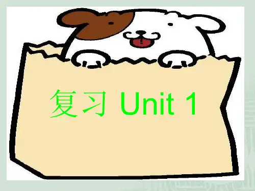 人教课标版小学英语五年级上Unit-2-My-Days-of-the-Week