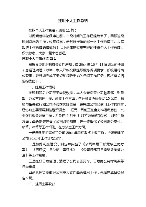 挂职个人工作总结