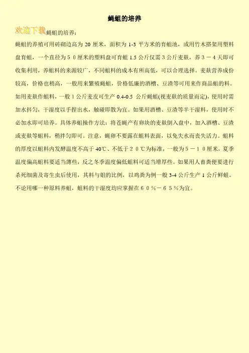 蝇蛆的培养