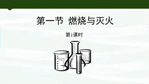 鲁教版九年级化学上册《燃烧与灭火》燃烧与燃料PPT教学课件(第1课时)