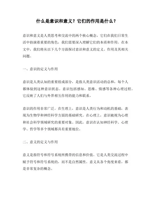 什么是意识和意义？它们的作用是什么？