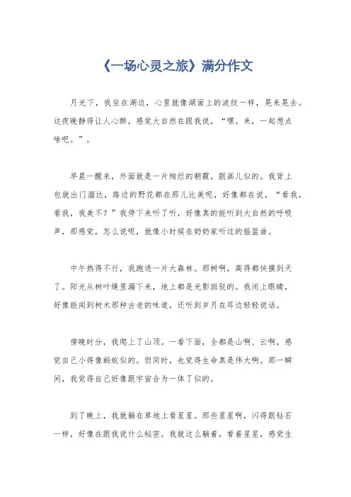 《一场心灵之旅》满分作文