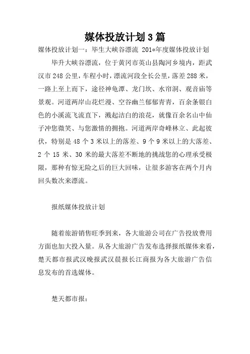媒体投放计划3篇