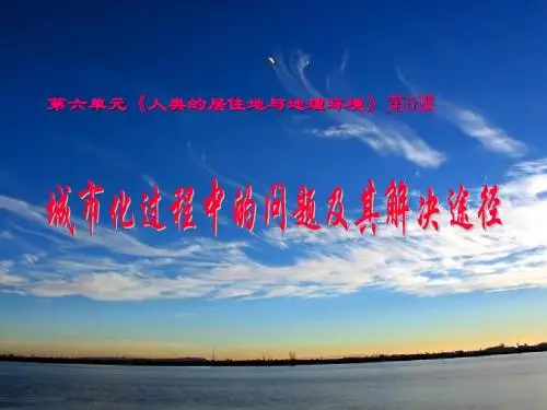 城市化5