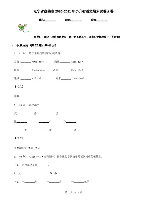 辽宁省盘锦市2020-2021年小升初语文期末试卷A卷