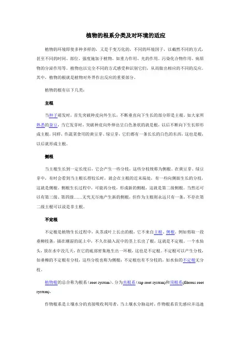 植物的根系分类及对环境的适应