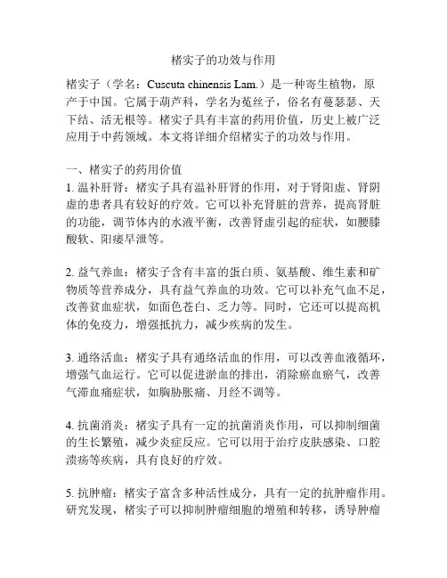 楮实子的功效与作用