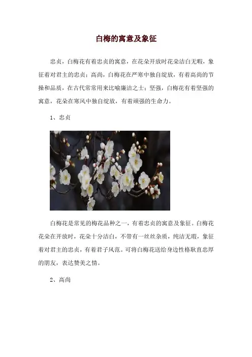 白梅的寓意及象征