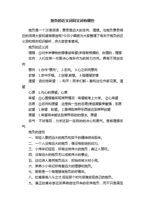 抱负的近义词同义词有哪些