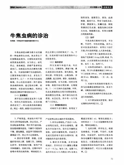 牛焦虫病的诊治