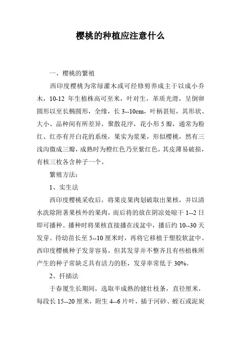樱桃的种植应注意什么