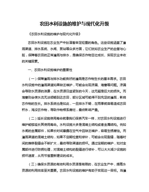 农田水利设施的维护与现代化升级