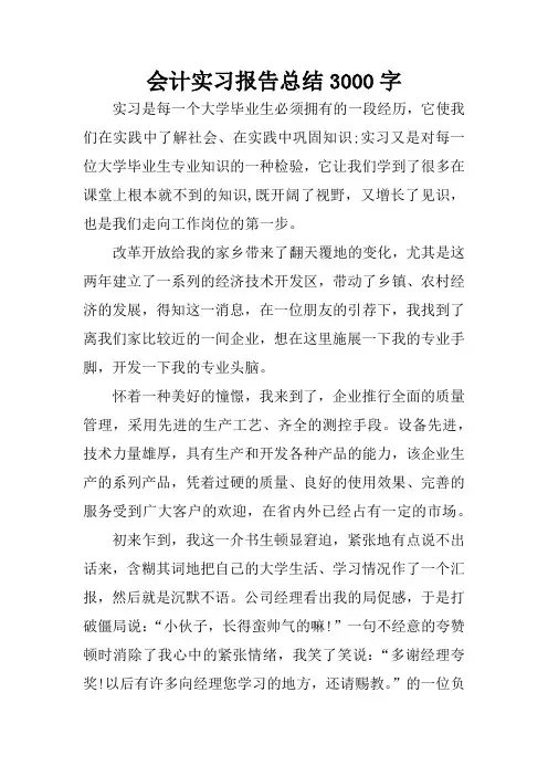 会计实习报告总结3000字