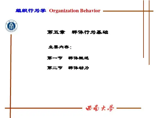 第五章 群体行为基础 组织行为学  大学课件