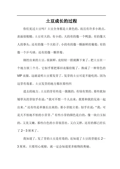 土豆成长的过程作文400字