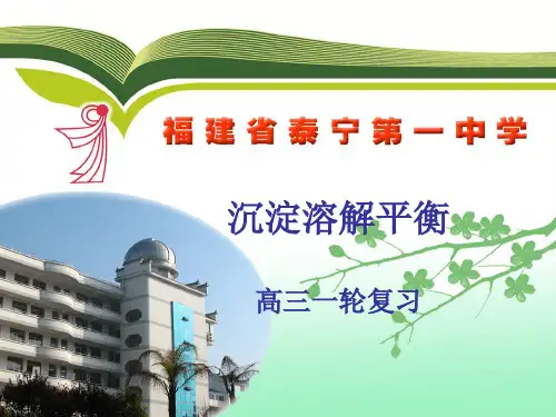 沉淀溶解平衡 高三一轮复习.ppt