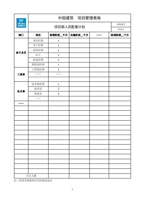中国建筑  项目管理表格