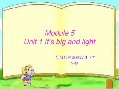 module 5 unit 1 it's big and light  PPT