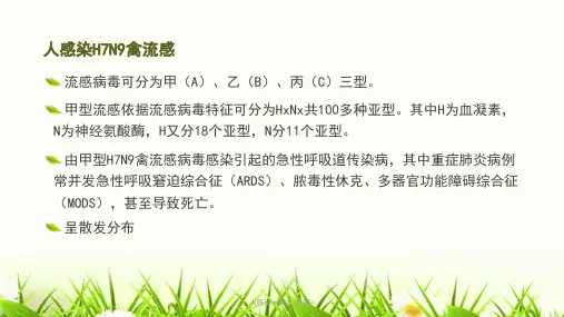 人感染hn禽流感培训课件