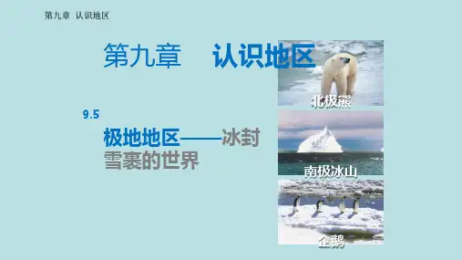 晋教地理七年级下册第9章5 极地地区──冰封雪裹的世界(共19张PPT)