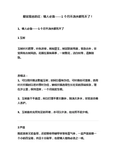 最容易养的花：懒人必备——1个月不浇水都死不了！