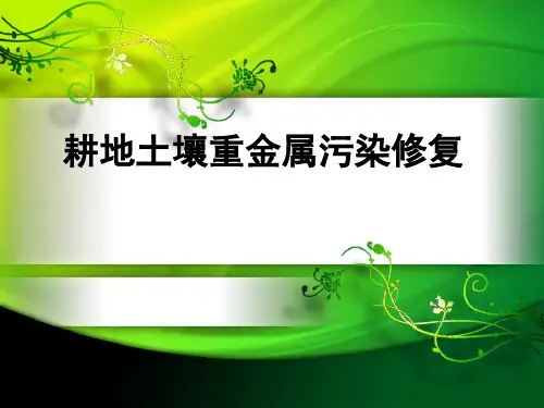 土壤重金属污染治理精品PPT课件