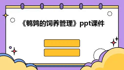 《鹌鹑的饲养管理》课件