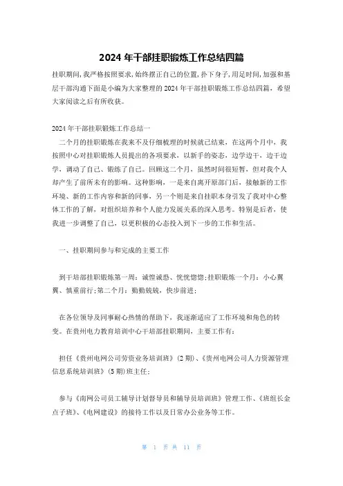 2024年干部挂职锻炼工作总结四篇