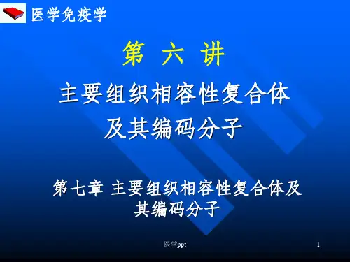 《医学免疫学教学课件》06mh