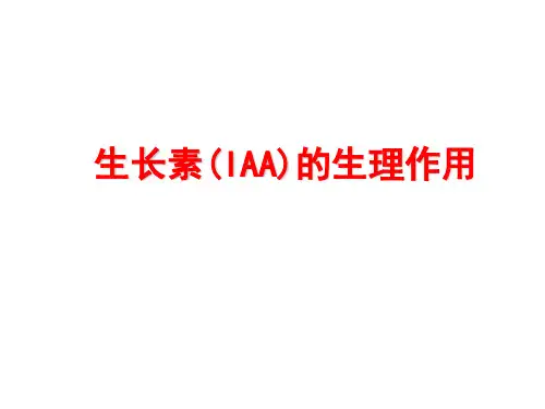 植物生长素的生理作用  课件