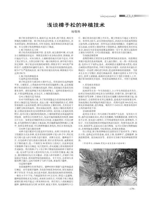 浅谈樟子松的种植技术
