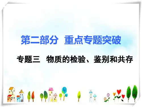 人教版初中化学九年级下册3.专题三 物质的检验、鉴别和共存-课件